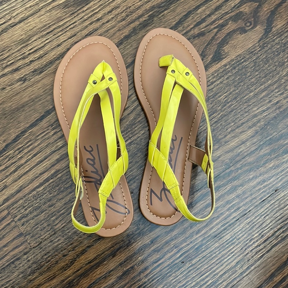 yellow slipper zodiac all man made